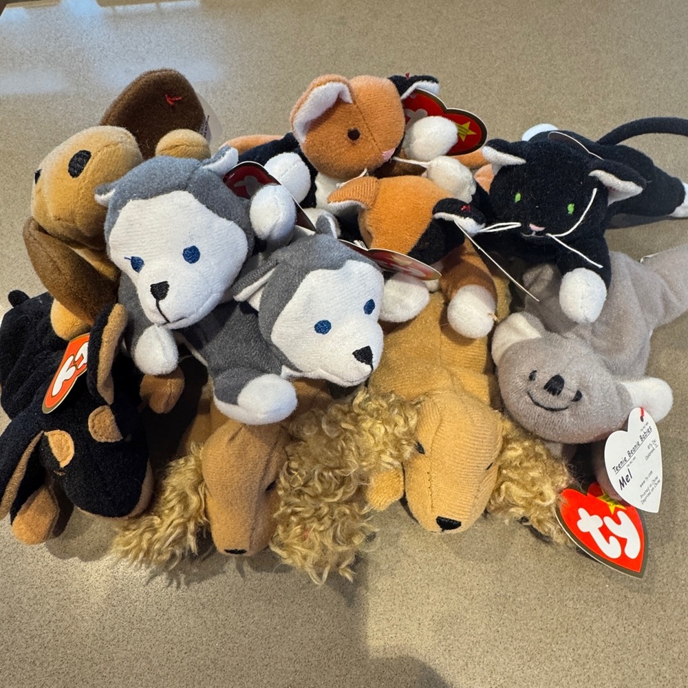 Lot of 10 Ty Teenie Beanie Babies - Cats & Dogs